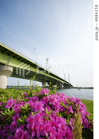 幸魂大橋 彩湖 幸魂大橋 彩湖 4684158