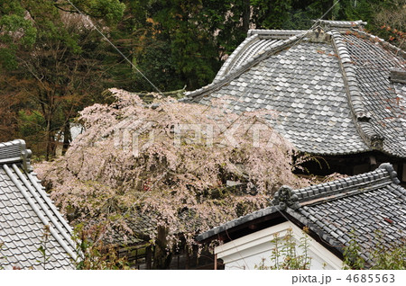 京都　十輪寺 4685563