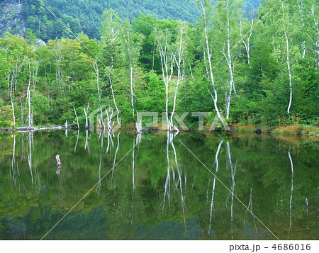 信州 乗鞍高原 まいめの池 信州 乗鞍高原 まいめの池 4686016