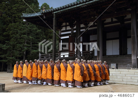 壇場伽藍の金堂 4686017