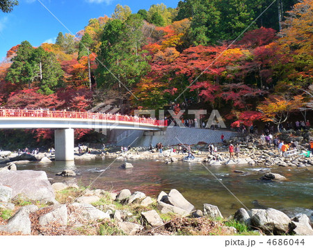 紅葉の香嵐渓 4686044
