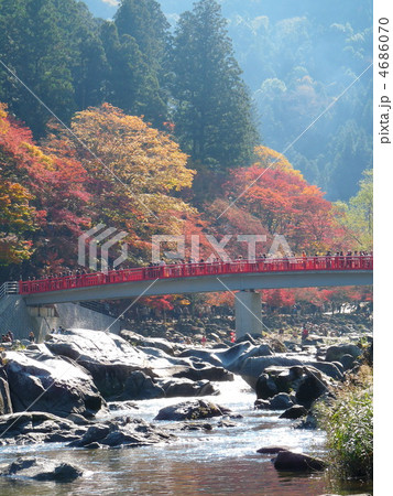 紅葉の香嵐渓 4686070