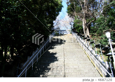 徳川家ゆかりの愛宕神社を訪れて 4687120