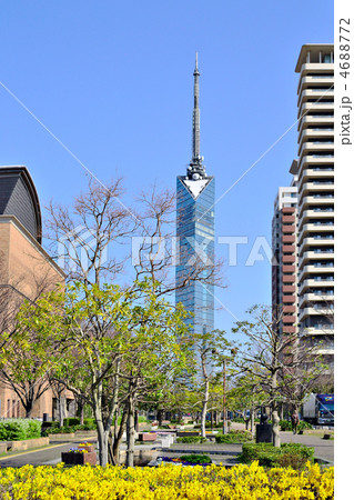サザエさん通りから見た福岡タワー 4688772