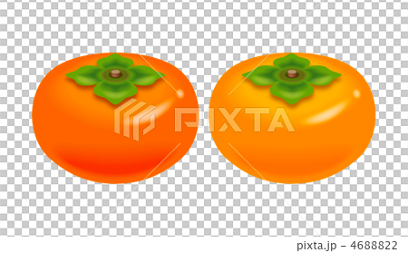 Illustration of persimmon. Icon set. 4688822
