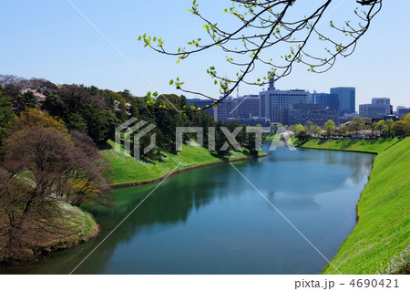 皇居のお堀の半蔵濠周辺の若葉と新緑 皇居のお堀の半蔵濠周辺の若葉と新緑 4690421