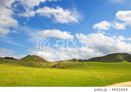 meadow with mountain landscape meadow with mountain landscape 4691604