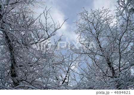 cold weather cold weather 4694621