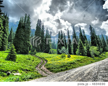 Mountain landscape 4694690