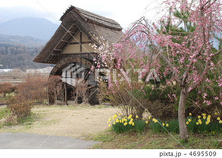 山梨県　北杜市　水車公園　春 4695509