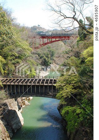 山梨　大月　猿橋　春 4695907