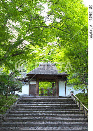 新緑の安楽寺 4696480