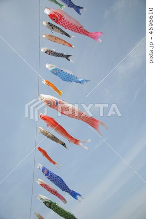 鯉のぼり 4696610