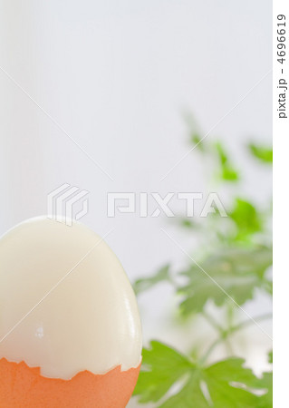 ゆでたまごとイタリアンパセリ 4696619
