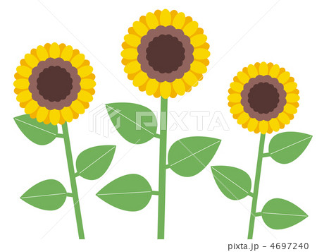 ひまわり 4697240