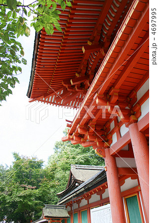 上賀茂神社 4697995