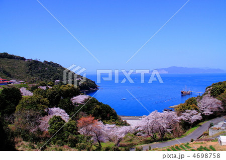 桜と海 4698758