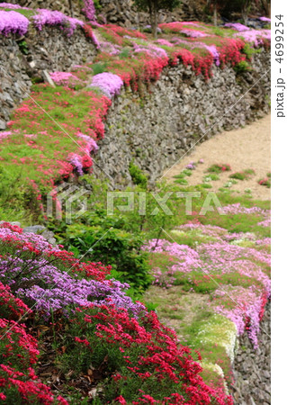 高開の石積み 4699254