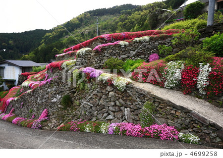 高開の石積み 4699258