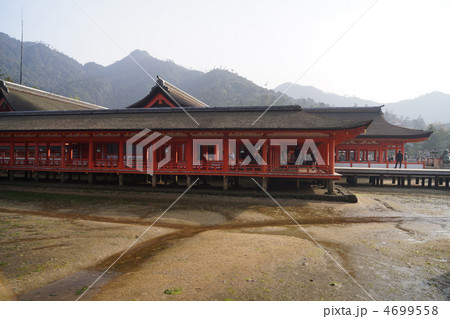 厳島神社　御本社 4699558