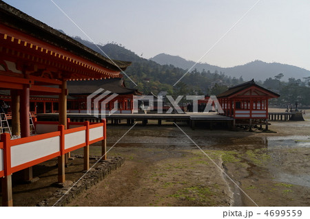 厳島神社 4699559