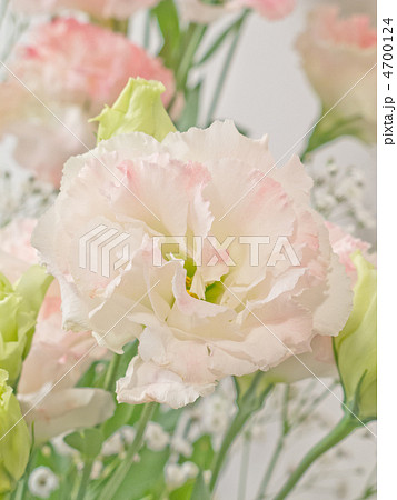 花束 花束 4700124