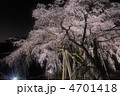 奥山田のしだれ桜 4701418