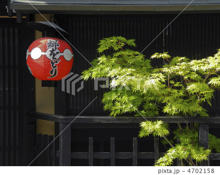 都をどりの提灯 都をどりの提灯 4702158