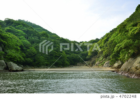 幸島の浜辺 幸島の浜辺 4702248