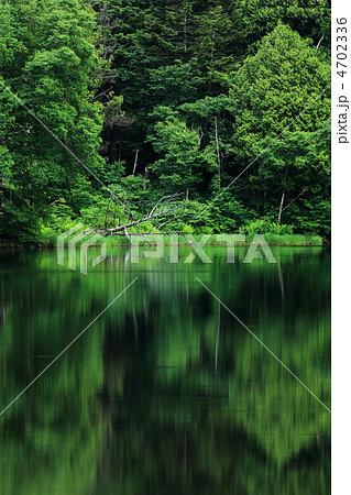 志賀高原・長池 4702336