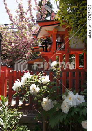 御霊神社 4702429