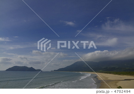 石波海岸と幸島サル生息地 4702494