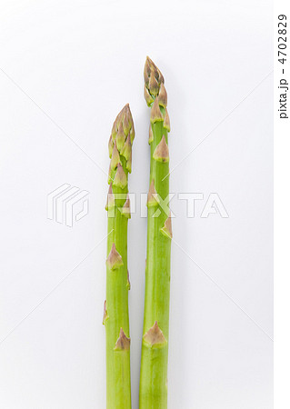 アスパラガス 4702829