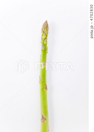アスパラガス 4702830