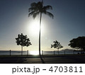 明日に向かって 4703811