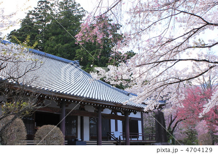 光前寺大講堂 4704129