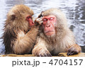 地獄谷温泉の猿　5 4704157