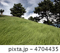 風吹く丘の揺れる草木 4704435