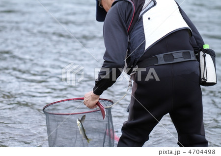 鮎の友釣り 鮎の友釣り 4704498