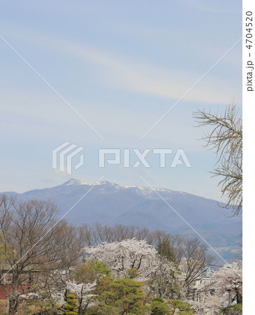 上田城から見た烏帽子岳 4704520