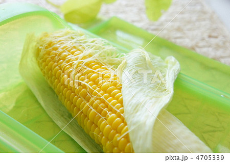 スチームケース調理 4705339