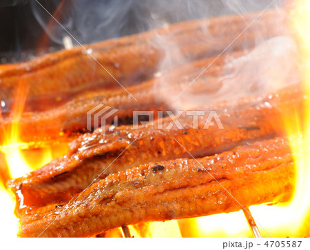 うなぎ うなぎ 4705587