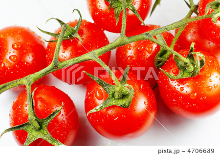 房付きトマト 房付きトマト 4706689