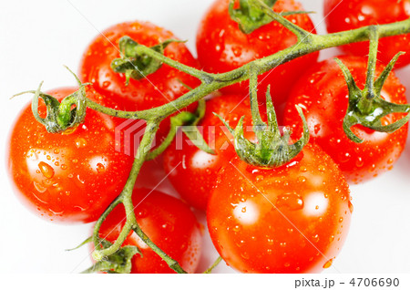 房付きトマト 房付きトマト 4706690