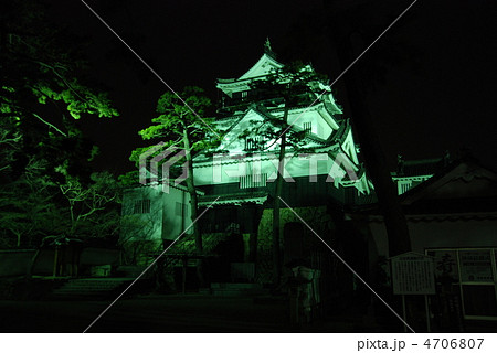 岡崎城天守閣夜景 4706807