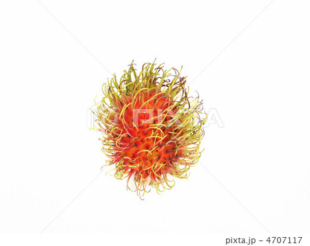 ランブータン 4707117