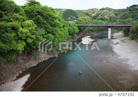 鮎の友釣り 4707192
