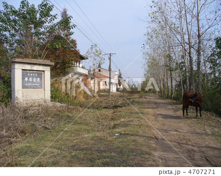 湖北省監利　華容古道 4707271