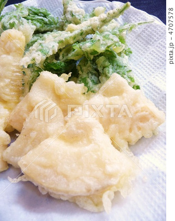 たけのことよもぎの天ぷら 4707578