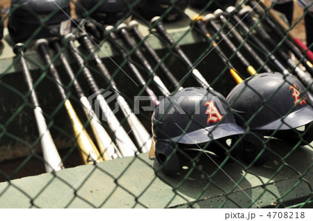 ベンチ横 4708218